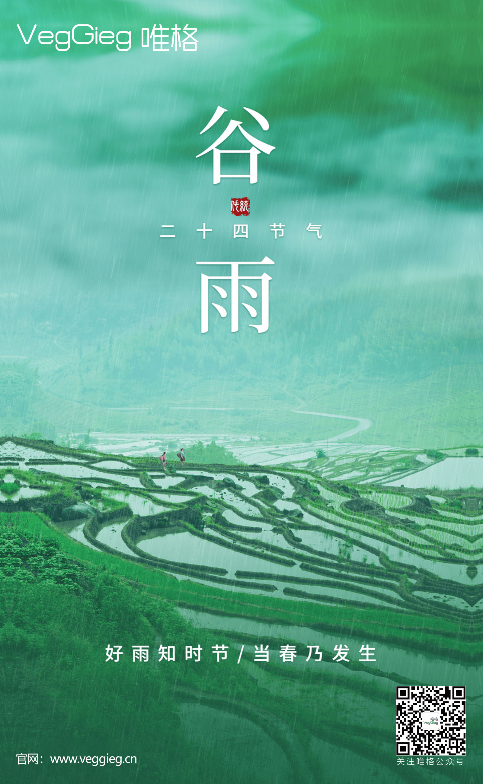 谷雨2.jpg