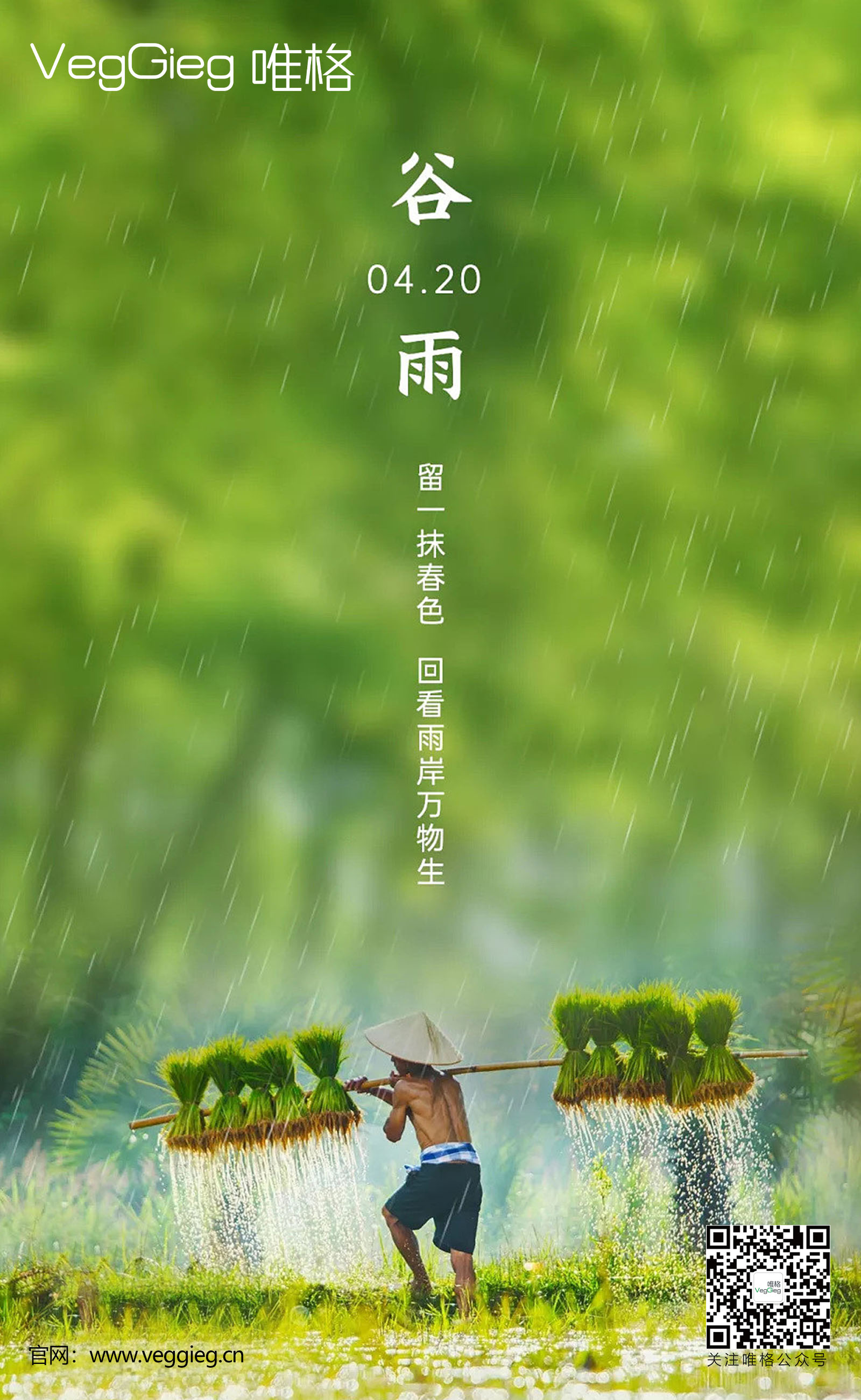 谷雨3.jpg